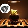 Black Body Plant Growth Enhancer 18W Power Hydroponics Lamp COB LED Spot Lamp  Plant Growth