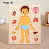 Children's Early Education Characters Body Organ Structure Cognitive Puzzle Brain Multi-Layer Development Wooden Toys