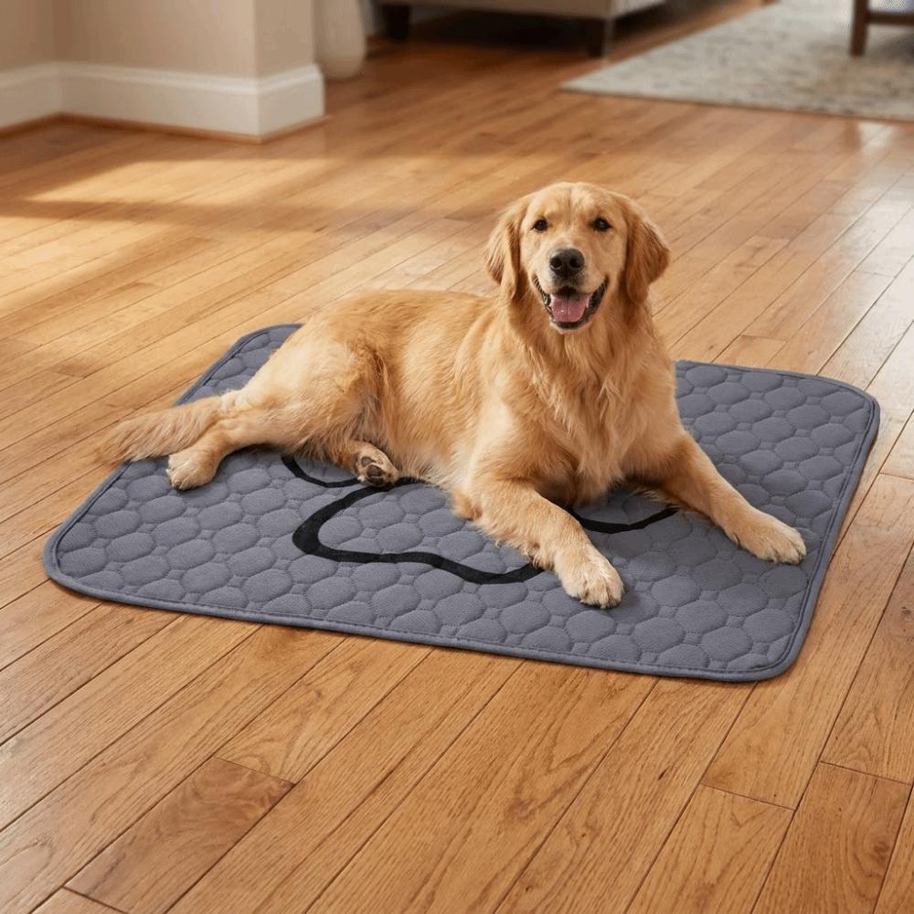 Washable Dog Pee Pad Reusable Dog Urine Pads Dog Pee Pad Blanket Pet Bed Urine Mat Crate Training