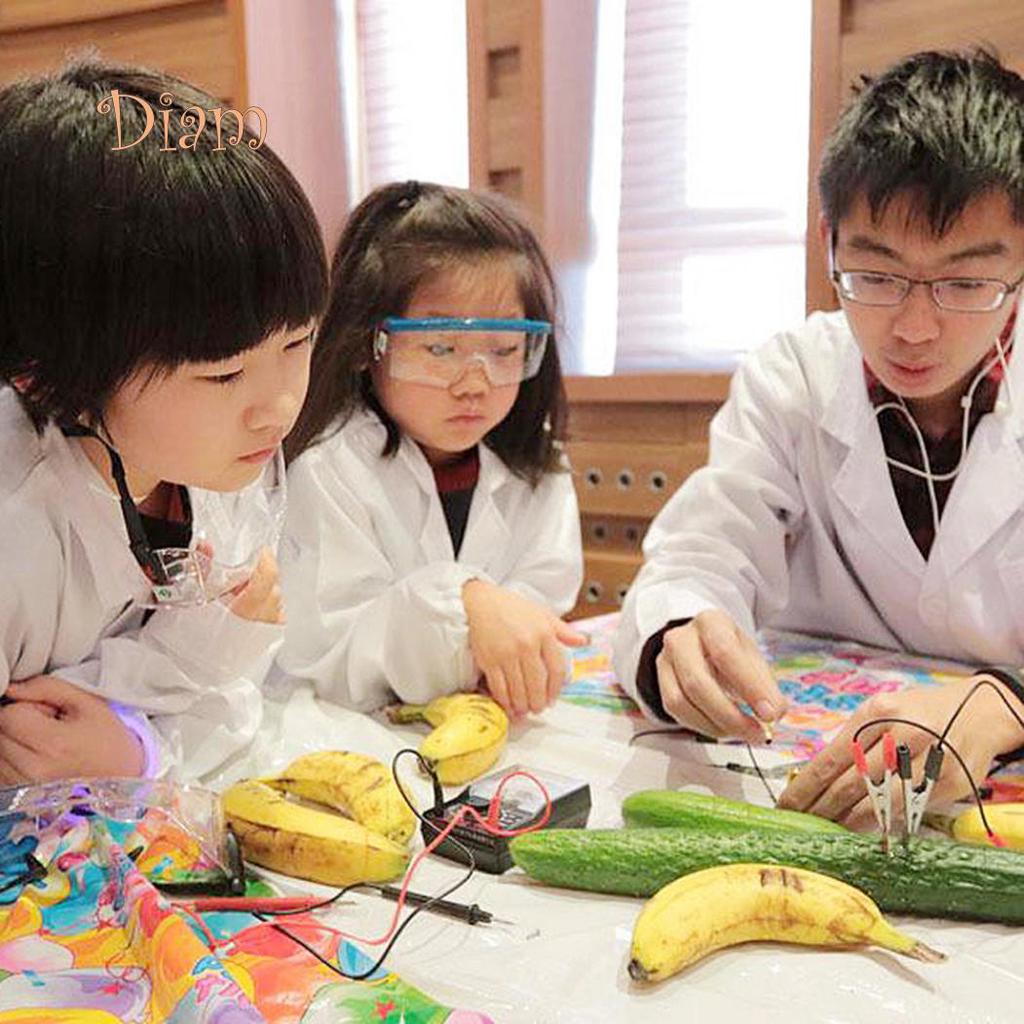 DAG DIY Brambory Ovoce Napájecí baterie Bio Energy Light Diode Clock Kit Experiment Toy