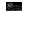 Daiwa Slp Works SLPW MC CRANK HANDLE 80mm Black/Silver (BK/SL)