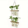 1pc Plant Propagation Tubes, 1/2/3 Tiered Wall Hanging Plant Terrarium with Wooden Stand Mini Test Tube Flower Vase Glass Planter for Hydroponic
