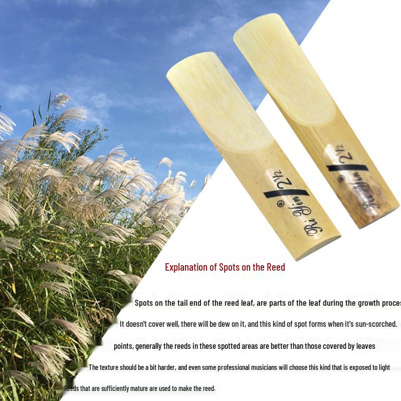 E-Flat Alto Saxophone Reeds - Sizes 2, 2.5, 3 Options Available