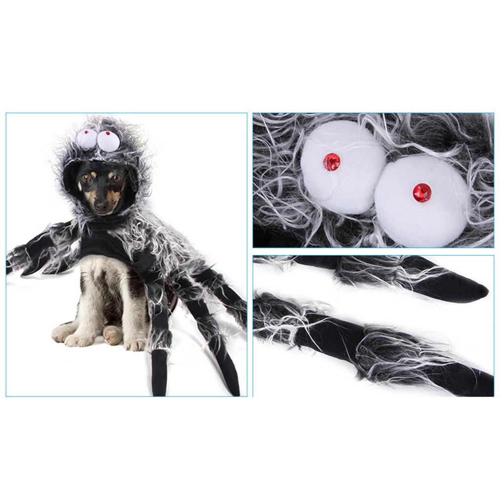 Amanda Pet Halloween Christmas Chest Back Creative Cat Dog Small Dog Spider Costume
