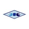 2023 New Fashion Jungle Zebra Diamond Scarf Horse Brand Silk Scarf Woman Luxury Bandana Headband Hijab Foulard Neckerchief Shawl