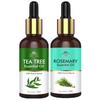 INTIMIFY Tea Tree Oil & Rosemary Oil | For Hair Growth, Skin & Face Care | Used In Aromatherapy, Hair Fall, Dandruff | For Women and Men | Pack Of