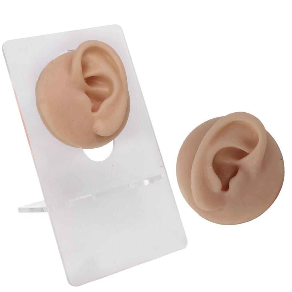 Ear Model Soft Silicone High Simulation Clear Structure Human Ear Model for Piercing Practice Dark