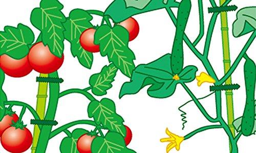 Takagi Sun Garden Attractive Repeat Cable Ties, 50pcs