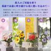 Seto Craft Hana Rennes "100 Years Unwilting Lotus Flower Incense Burner" Incense Holder for Buddhist Altars, Mini, for Graves, Prevents Ash Spillage,