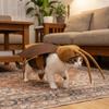Realistic Pet Transformation Costumes with Wing Costume Pranks Outfit  Halloween