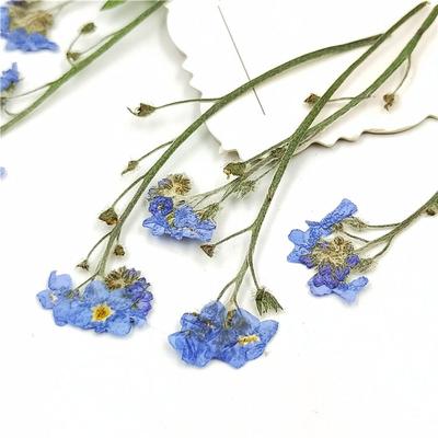 Deko & Wohnaccessoires