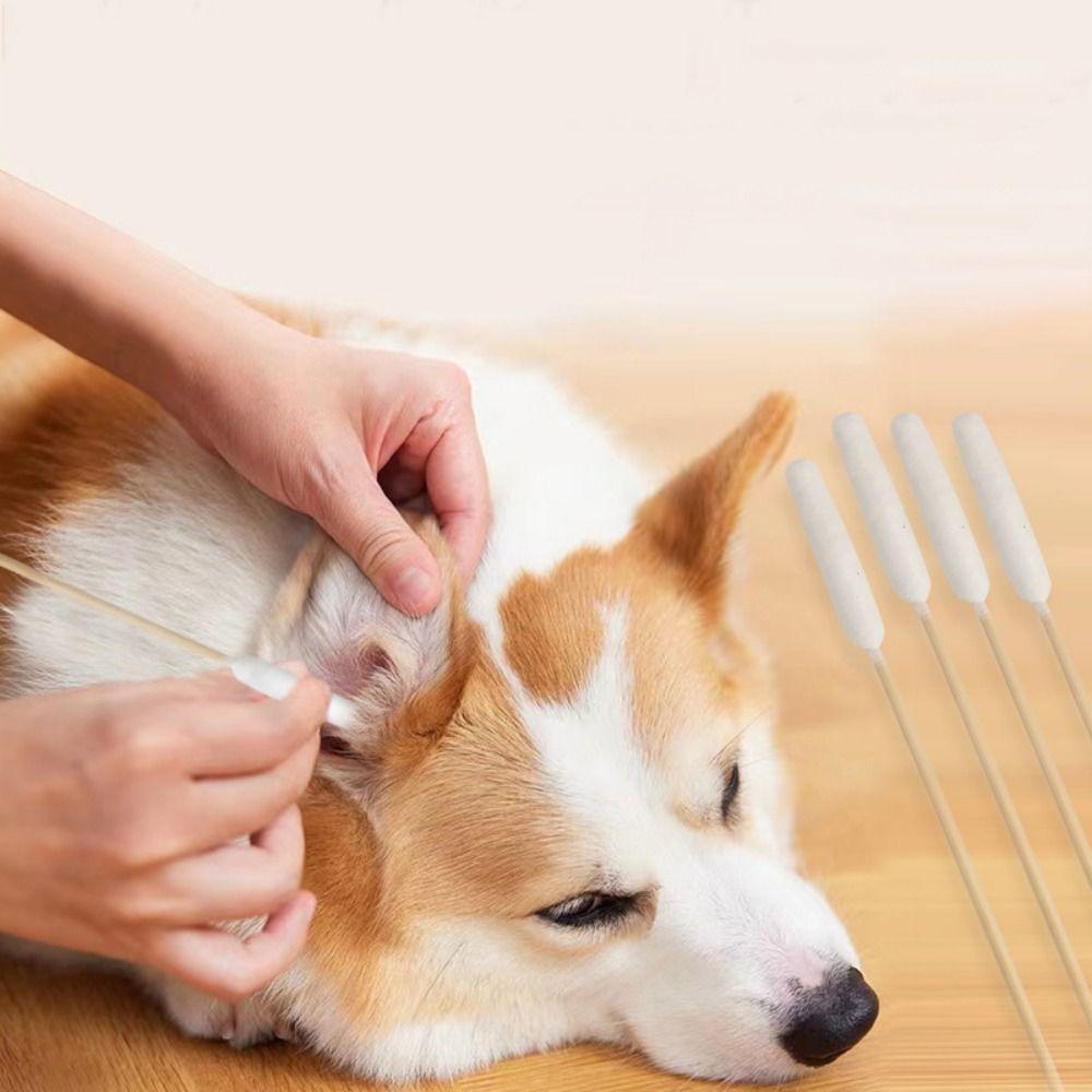 50 Stück Einweg-Hunde-Wattestäbchen Einzelkopf Hunde-Ohrenreiniger Haustier-Ohrenreiniger Wattestäbchen Pflege