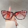 Steampunk Fashion Sunglasses Contrast Color UV Protection Sunglasses Cat Eye Sunglasses  Beachwear
