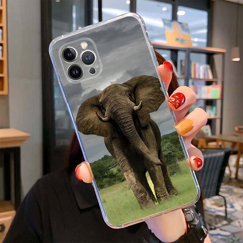 Tier Elefant Handyhülle für iPhone 14 13 12 11 Pro Max XS X XR SE 2020 6 7 8 Plus Mini Transparente Hülle