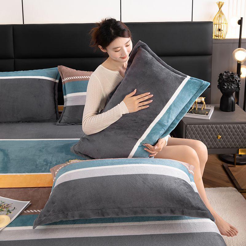 Winter Milk Velvet Flannel Pillow Set - Double-Sided Warm Pillow Core & Cover for Single/Double, Ideal for Students & Adults