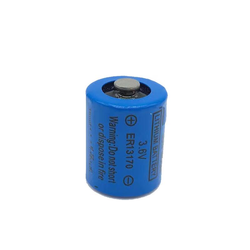 Banyang ER13170 3.6V Lithium Thionyl Chloride Battery