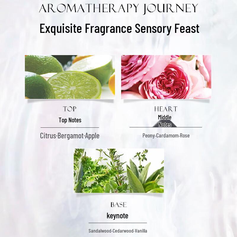 Schwarzkopf Professional BC Time Restore Q10 Shampoo