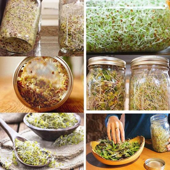 32Oz Sprouting Jar Kit 2 Wide Mouth Mason Jars with Stainless Steel Screen Lids Blackout Sleeves Stand Drip Tray Mason Jar Sprouting Set for Growing