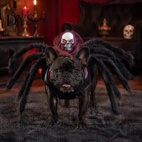 Funny Cat Spider Apparel for Party Pet Costume, Halloween Outfit with Skull Face, Black Animal Costumes Holiday Cats Dogs Cosplay Photo Props