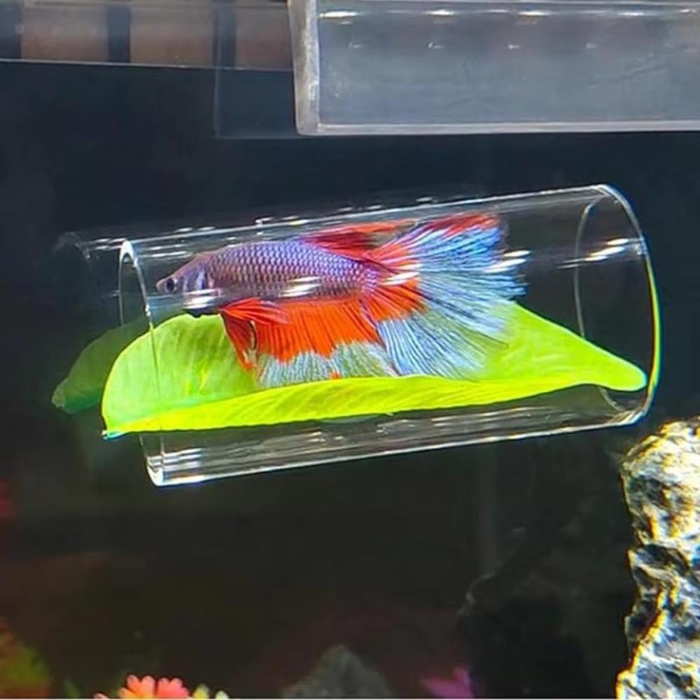 Hide Betta Fish Acrylic Tube With Leaves Pad Betta Fish Tank Decorations