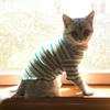Striped Design Pet Long Sleeve Shirt Rainbow Two Legged Puppy Vest  Autumn Winter Season