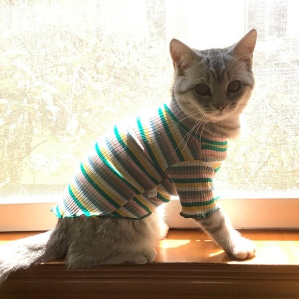 Striped Design Pet Long Sleeve Shirt Rainbow Two Legged Puppy Vest Autumn Winter Season