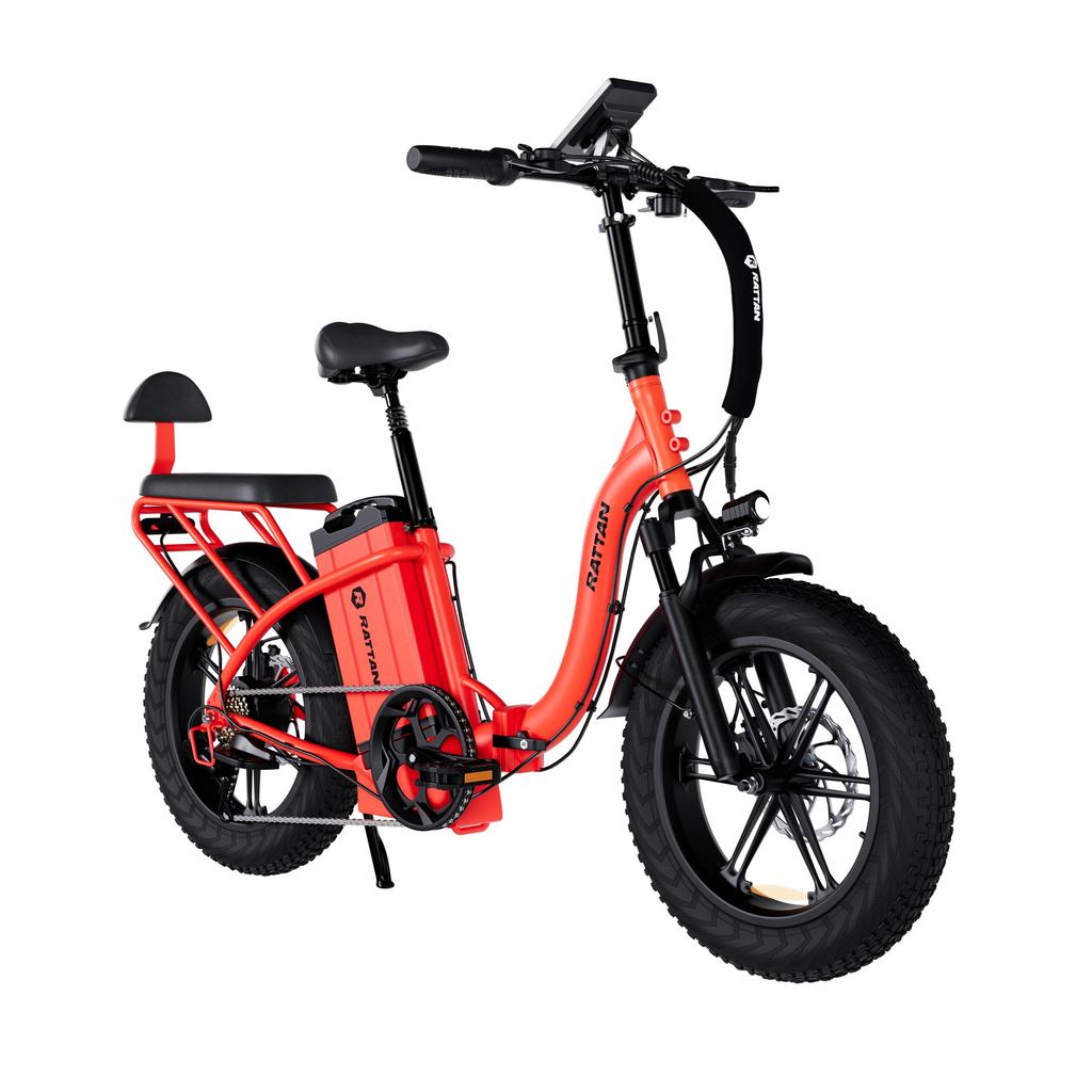 RATTAN LF Ultra Pohodlné Cyklistické Elektrické Kolo 1000W Motor 48V40AH Baterie Dojezd 200KM Terénní Elektrické Kolo 20 Palcové Tlusté Pneumatiky E-Bike