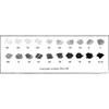Prismacolor Prismacolor 12 Pieces Graphic Pencil Pencil Drawing Sketch