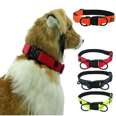 Köpek – Köpek Tasmaları ve Tasma Kayışları
