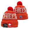 Lion Rugby Knit Hat, Dolphin Outdoor Warm Sun Hat, 49ers Hip Hop Ear Protection Hat
