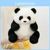 Entzückendes Authentisches Plüsch-Panda-Spielzeug Weiches Stofftier Geschenk Für Freundin 35cm 45cm Optionen Verfügbar