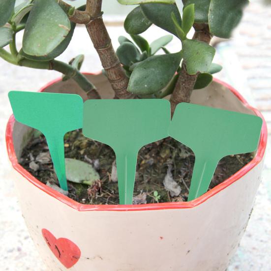 Pflanzenclips Stiele Ranken Gartenstützclips Kunststoff Orchidee Tomate Pfingstrose Stielhalter Pflanzenstab Befestigungselemente