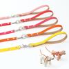 WonderFit Double Dog Lead, Handheld, for Small To Medium Dogs, Tangle-Free, Prevents Slipping from Wrist, 2-Dog Lead, Multi-Dog Lead, Anti-Tangle, for