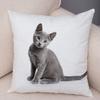 1PC 45x45cm Cute Cat Pillowcase for Home Sofa Children Room Decor Lovely Pet Animal Print Cojines Cushion Cover Pillow Case