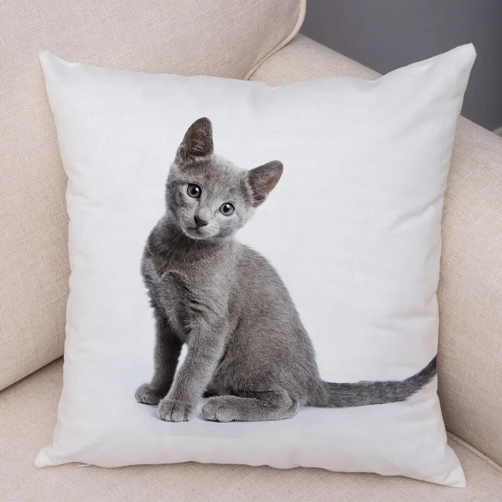 1PC 45x45cm Cute Cat Pillowcase for Home Sofa Children Room Decor Lovely Pet Animal Print Cojines Cushion Cover Pillow Case