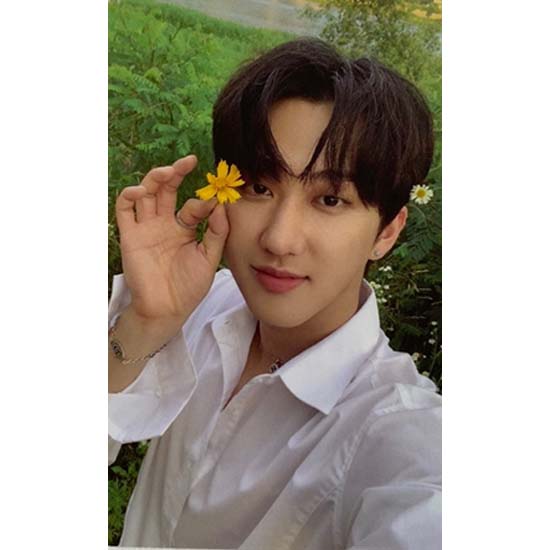 

Официальный адрес Stray Kids Noeasy Limited PHOTOCARD_CHANGBIN