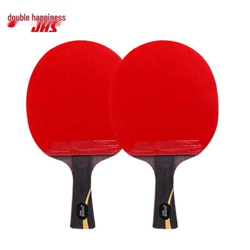 Профессиональная ракетка для настольного тенниса DHS Hurricane Wang Liqin Single Racket