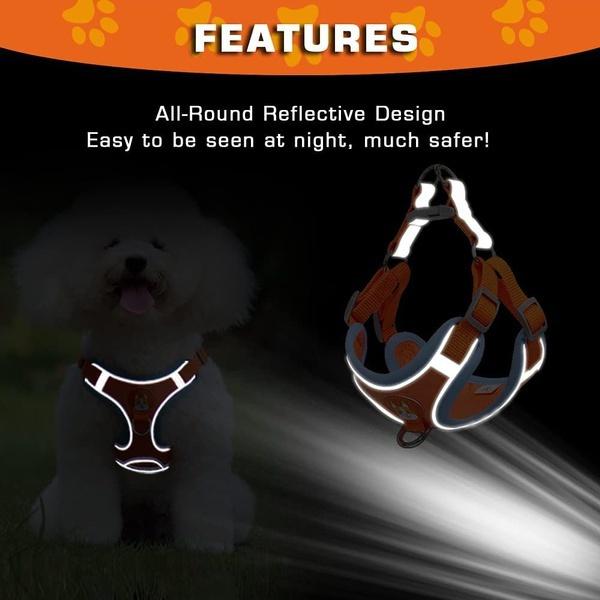 Pet Harness and Leash Set Training Walking Leads for Small Cats Dogs Harness Collar Adjustable Leashes Set