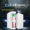 10L Dual-Use Car and Home Mini Refrigerator - Cold & Warm Box