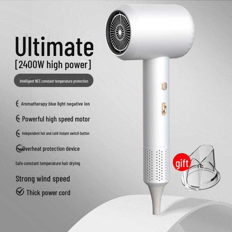 High-Power Blue Light Hair Dryer for Salon & Dorm, Hot/Cold Settings