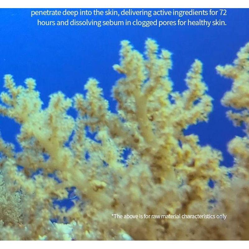 Fraijour - Heartleaf Pore Melting Gel Mask