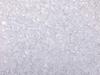 Kiseki Salt Life Himalayan Rock Salt Crystal 300g