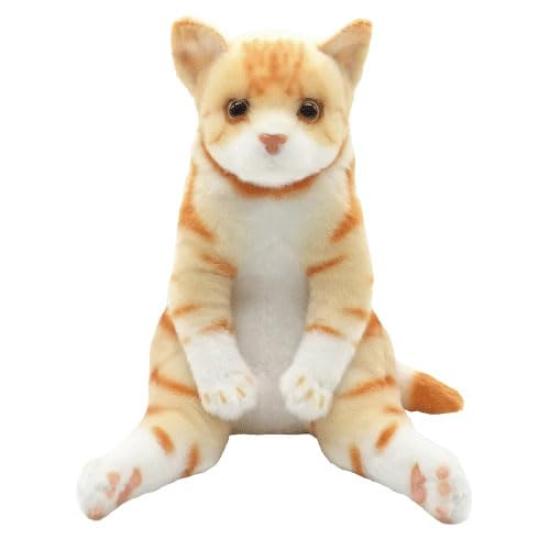 

LianQ Lab Suwatchi ZOO Cat American Shorthair Red Tabby