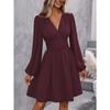 Autumn Winter V Neck Lantern Sleeve Pleated Waist Dress