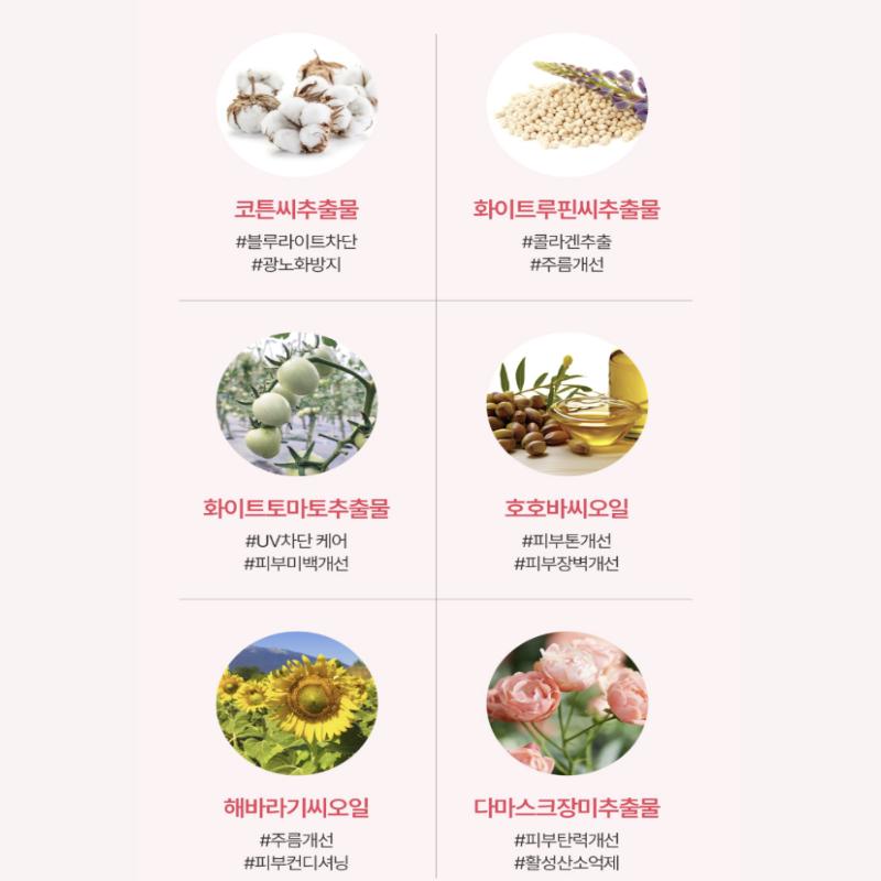 Revcell Vita Collagen Perfect Skin Tone-Up Serum 50ml (SPF50+ PA++++)