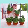 Cuscino Cactus Peluche Morbido Cristallo d'Acqua Peluche Cuscino Per Decorazione Casa Regalo