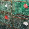 5 Stück Kunststoff Angelköderhalter Köderfischen Köderfalle Korb Korb Fische anlocken Garnelen Regenwurm Zubehör Karpfenfallen Werkzeug