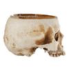 Halloween Resin Skull Bleeding Candle Ornament - Spooky Table Decor
