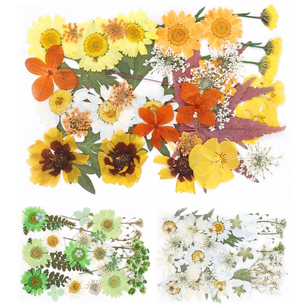 104/96/94Pcs Pressed Dried Flowers Set Real Natural Pressing Floral Leaves DIY Multipurpose Real Pressed Flowers Dry Leaves Kit
