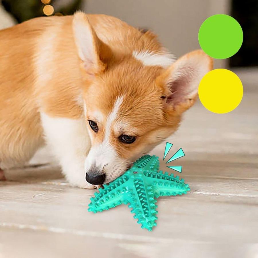 Dog Toy Molar Stick Leaking Food Dog Toothbrush